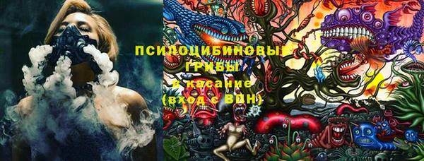 PSILOCYBIN Бугульма